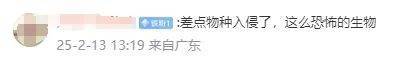 事发上海浦东机场：海关截获世界上毒性最强活体毒蛙！国家安全机关提示→