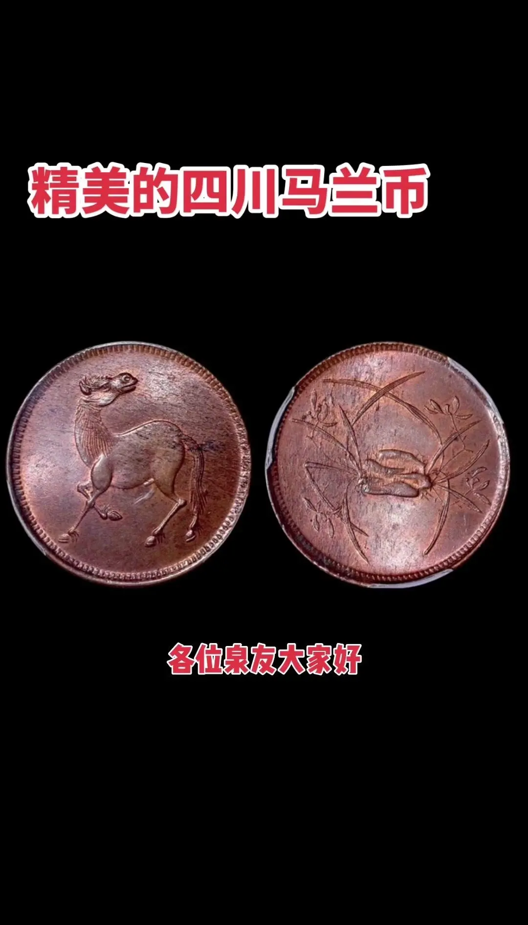 马兰币(马兰币价格)