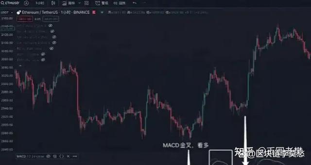 在币圈混(我在币圈的真实经历)