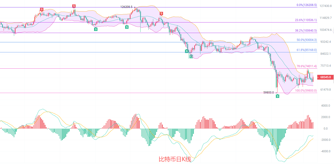 币圈分析(币圈分析师pro)