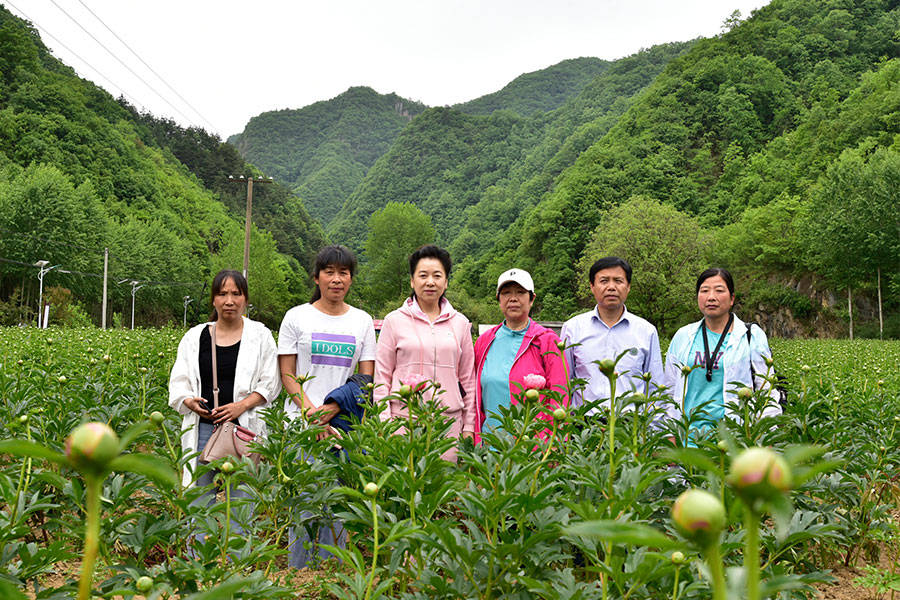 中国绿色发展基金会(中国绿色发展基金会官网)