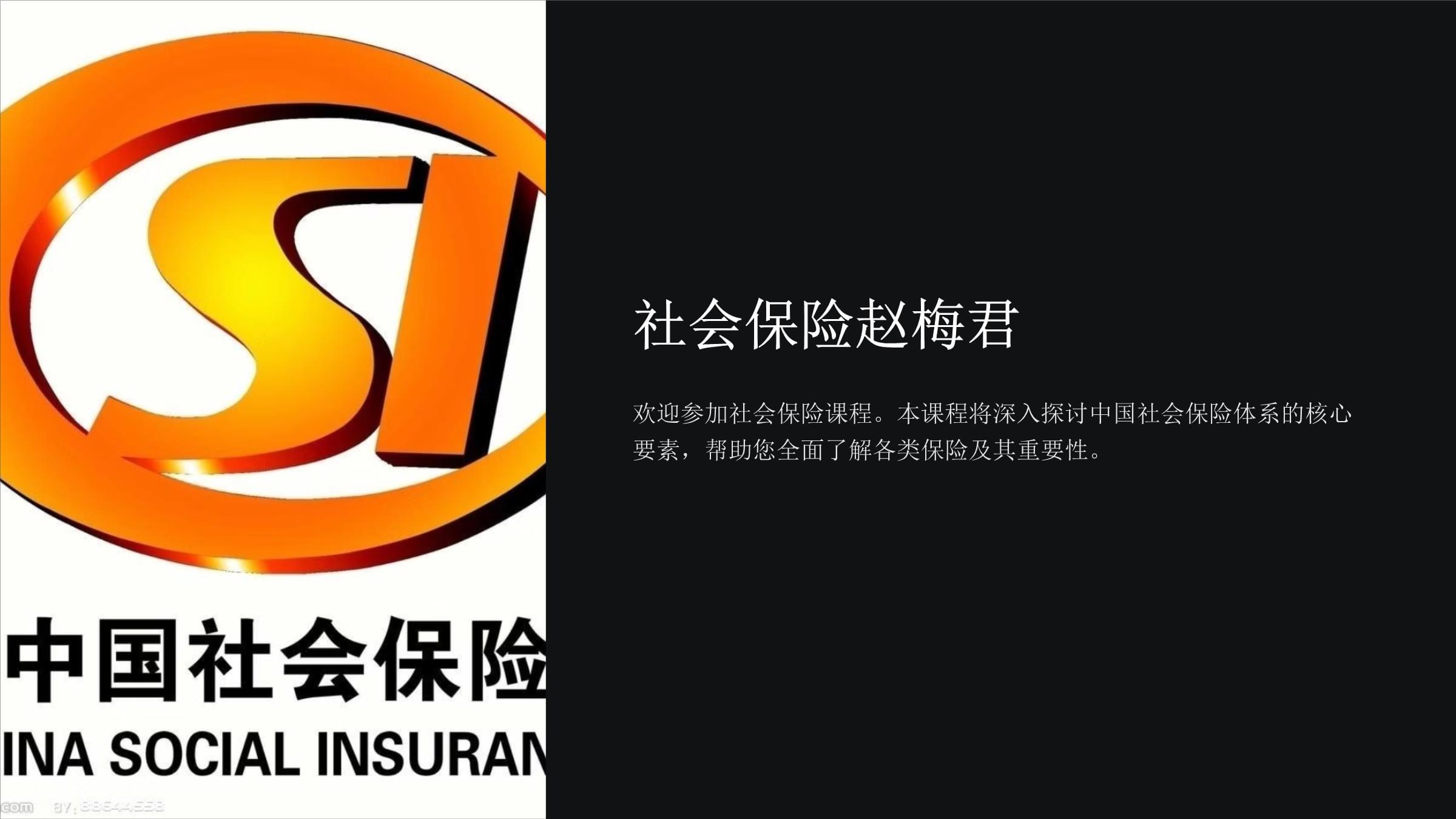 全国社保基金会(全国社保基金会是干什么的)