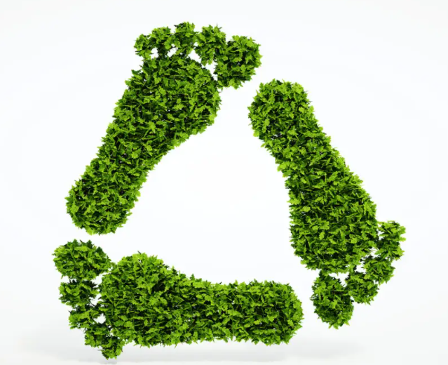 中国绿色发展基金会(中国绿色发展基金会是什么单位)