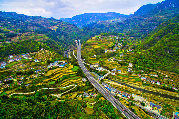 中国绿色发展基金会(中国绿色发展基金会是什么单位)