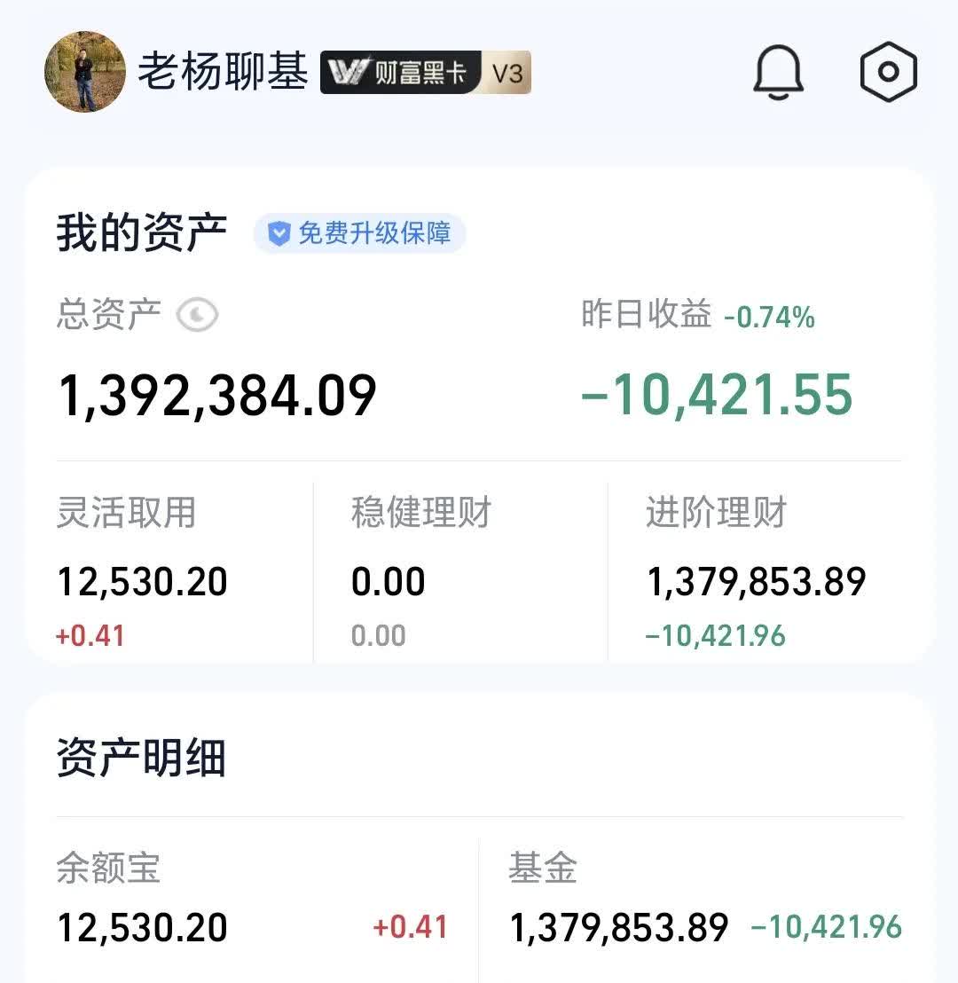 100038基金净值(100018基金净值)