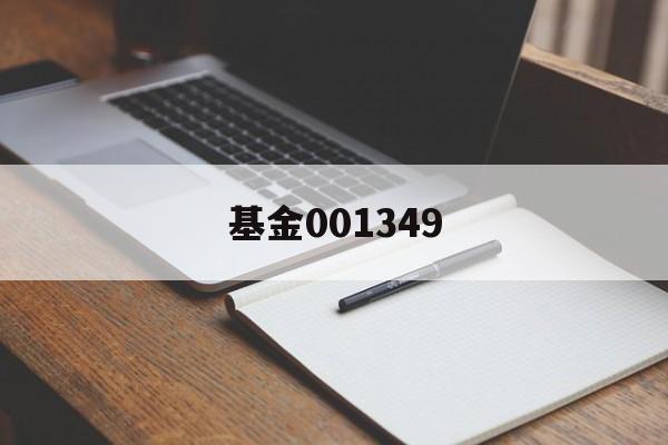 基金001349(基金001349今天的净值是多少钱)