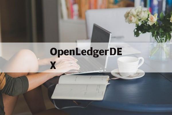关于OpenLedgerDEX的信息